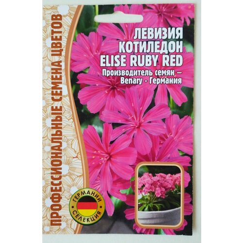 ������ ������ ������ �������������: ������� ��������� ����