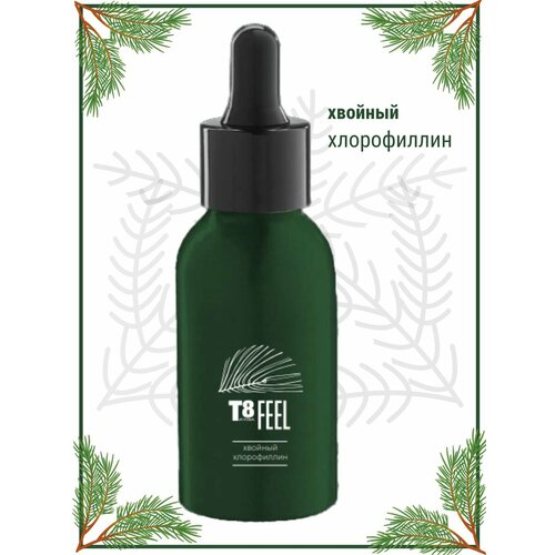 ������ ������ ������� ����������� T8 Feel TAYGA8 50�� ��� ���������, ��� ����, ��������� ���������� ����