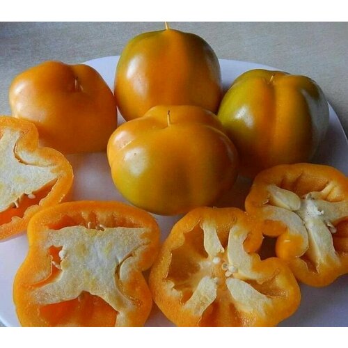 ������ ������ ������������� ������ ����� �������� ������� ��������� ����