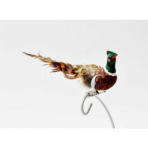 ������ ������ ������� ������� ����� �� �������� 2 ����