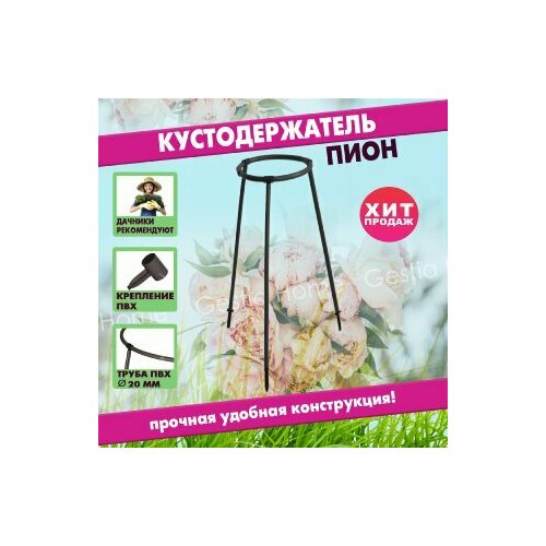 ������ ������ �������������� ���� ������� ����������� ��� ��������, ����� ��� �������� Gestia Home ����