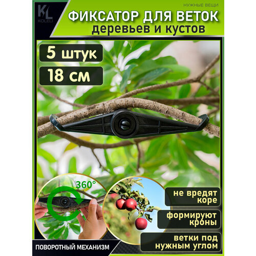 ������ ������ KoLeli / ���������� ��������� ��� ����� / �������� ��� ��������, ������������� ����� � ������, ������ / 5 �� ����