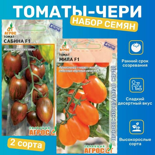 ������ ������ ������ �������/ ����, ������ ����