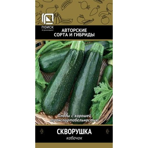 ������ ������ ������ ������� ��������� 12�� ������� ������ (�����) ����