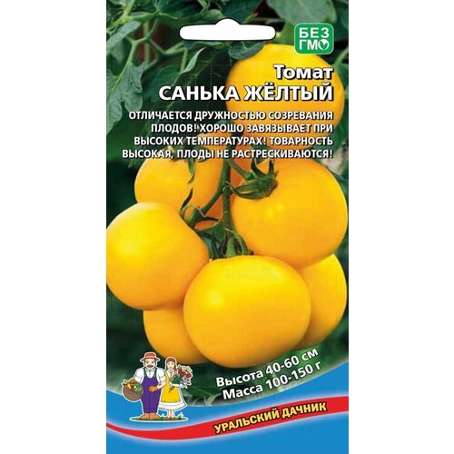 ������ ������ ������ ����� ������ ������ 20�� ��� ������ (��������� ������) ����