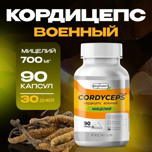 ������ ������ ��������� ������� � �������� 700��, �������� ��� ���������� � ������ ����