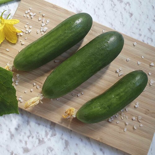 ������ ������ ������ ������ ������������� ����� F1 5 �� ����