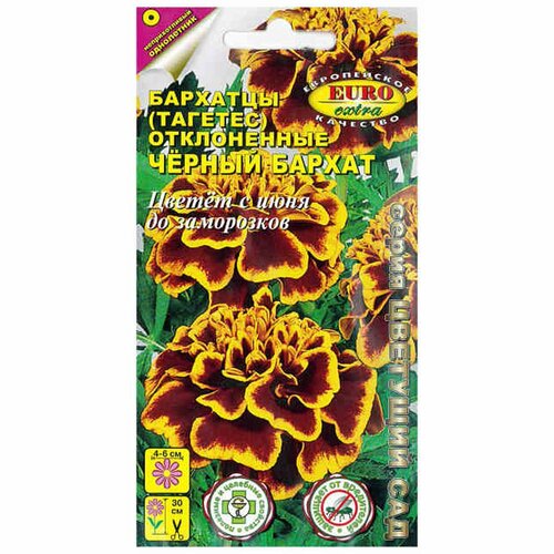 ������ ������ ������ �������� ������ ������ ����������, (������) 0,1� ����