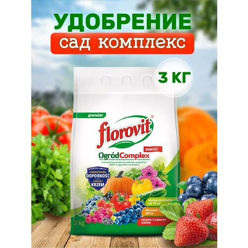 ������ ������ ��������� ������������� ��������������� ��� �������� 3 �� ����