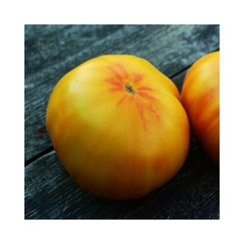 ������ ������ ������������� ������ ������ ��������� �������� ����