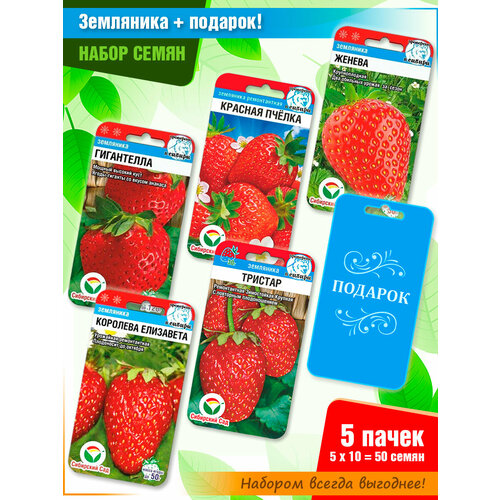 ������ ������ ����� ����� ��������� �� ���������� ���� (5 ����� + �������!) ����