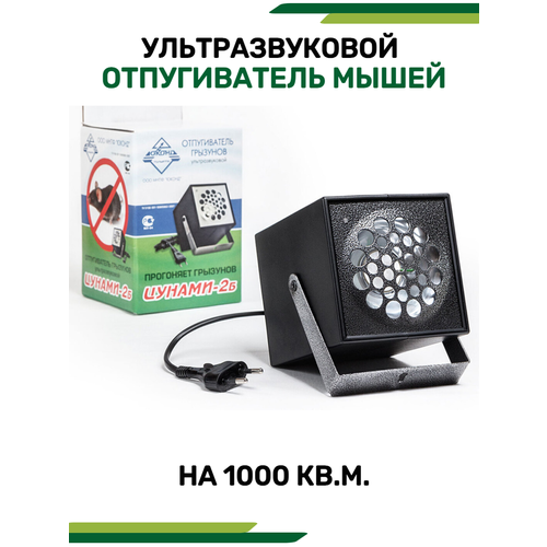 ������ ������ �������������� ������������ ����� ������ 2� ����