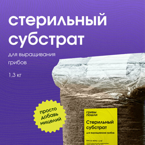 ������ ������ �������� ��� ����������� ������. ���������� ����