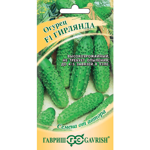 ������ ������ ������ ������ �������� F1 10�� ������������������ ������ (������) ����� ����