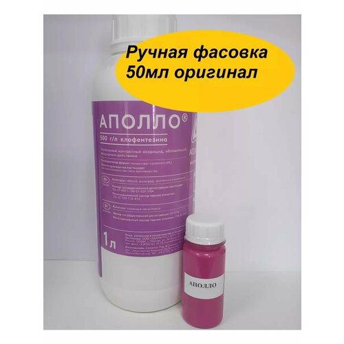 ������ ������ ������ 50�� �� ����� ����