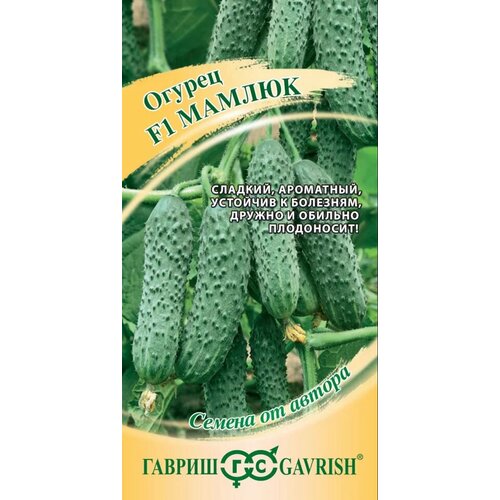 ������ ������ ������ ������ ������ ���� F-1 5�� ����