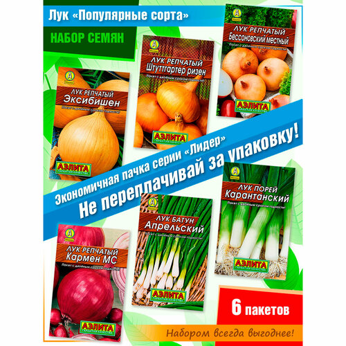 ������ ������ ����� ����� ���� ������� ���� �� �������� ������ (6 �������) ����