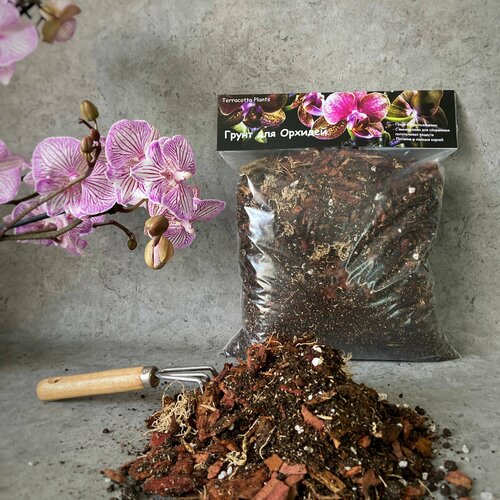 ������ ������ ������� ����� ��� ������� Terracotta Plants � �������� 2 ����� ����