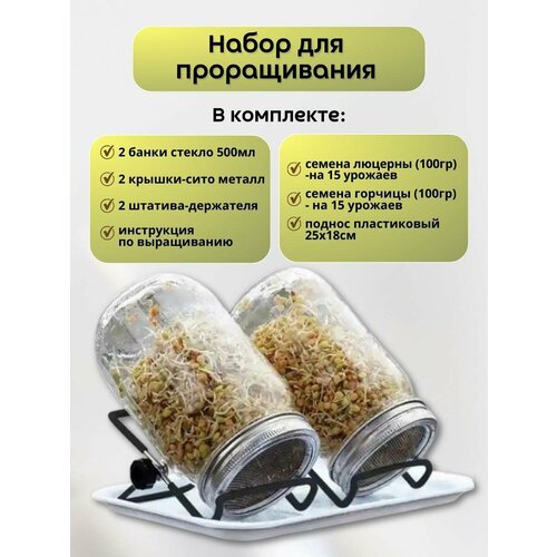 ������ ������ ����� ��� ������������ ����� ����������� � ����� � �������-����� ����