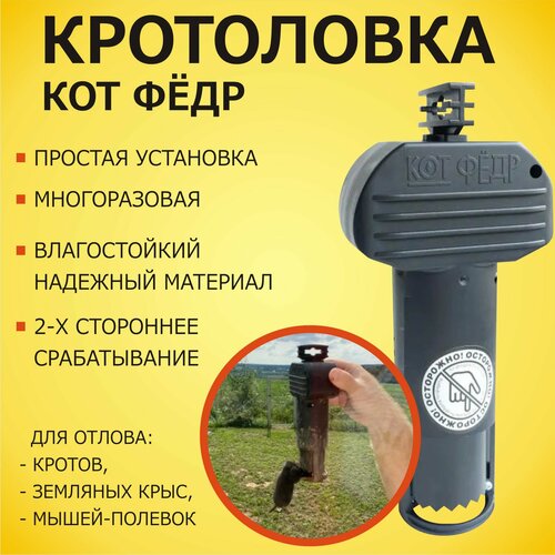 ������ ������ ���������� (������� ��� ������, �������, �������� ����) ��� ����� ����