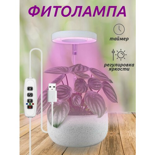 ������ ������ ��������� ��� ��������, ������ � ������� ����