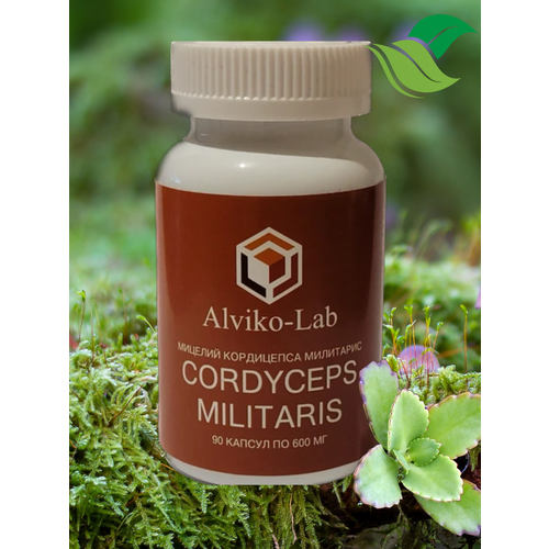 ������ ������ ��������� ������� ����� � ��������/ ������� ������� ��� ���������� ���������� � ��������� ������ -90 ��, 600�� ����