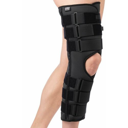 ������ ������ ������ �� �������� ������ SKN-241 ����