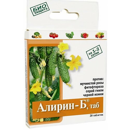 ������ ������ ����������� �� ��������� �������� 