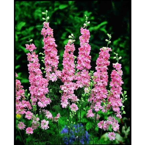 ������ ������ ������ ���������� ��������������� ������� ������� ����