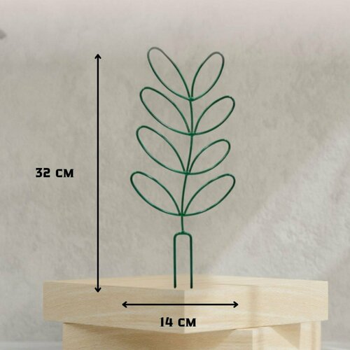 ������ ������ ������� ��� ���� � ���� ����