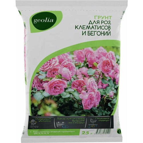 ������ ������ ����� Geolia ��� ��� ���������� � ������� 25 � ����