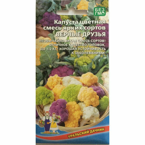 ������ ������ ������ ������� ������� ������ ������ ����� ����� ������ 0.25� (��������� ������) ����