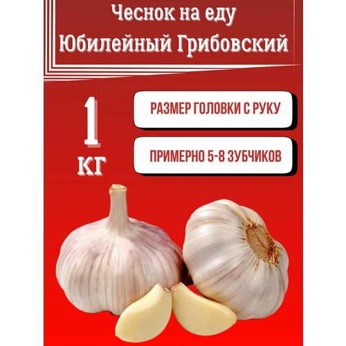 ������ ������ ������ ��� ��� ������. ����