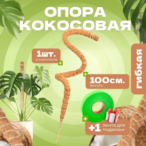 ������ ������ ��������� ����� ��� �������� ������, 100��, 1�� ����