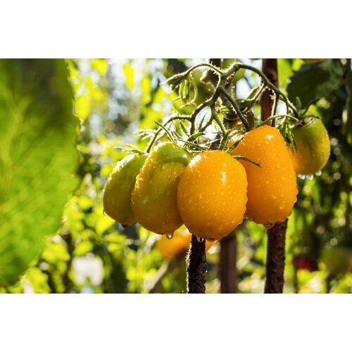 ������ ������ ������������� ������ ����� ����� ������ ����