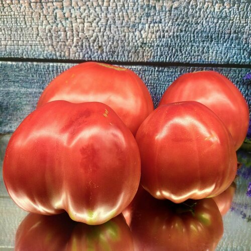 ������ ������ ������������� ������ ������ ������� ������ ����� � �������� ����� ��� ������ ����