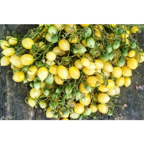 ������ ������ ������������� ������ ������ ���������� ����� ����� ����