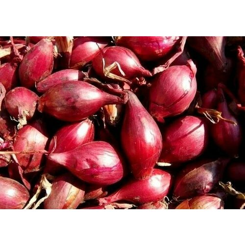 ������ ������ ������������� ������ ���� ����� ������������ ����