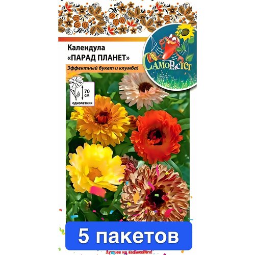 ������ ������ ����� ��������� ����� ������ ����� 5 ������� ����