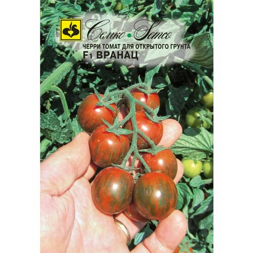 ������ ������ ������ ����� ������ F1 ����� 10�� ��� ������ (�����) ����