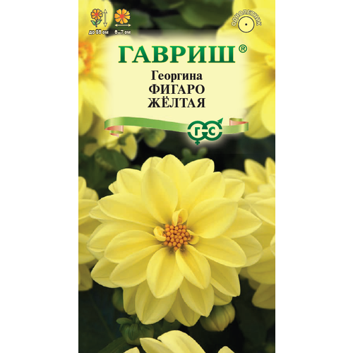 ������ ������ ������ �������� ������ ������ 7�� ��� ����� 30�� (������) ����