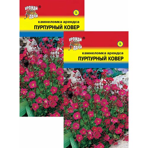 ������ ������ ���������� ��������� ����� (0,01 �), 2 ������ ����