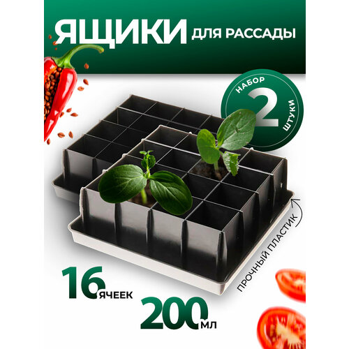 ������ ������ ���� ��� ������� � �������� ��������� 16 ������ 0,2� 2 �� ����