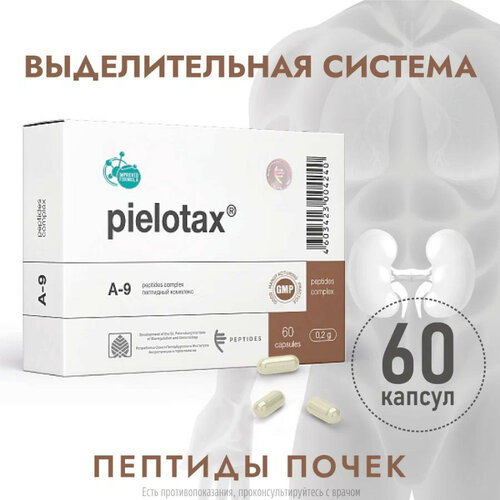 ������ ������ ��������� ����., 0.2 �, 60 ��. ����