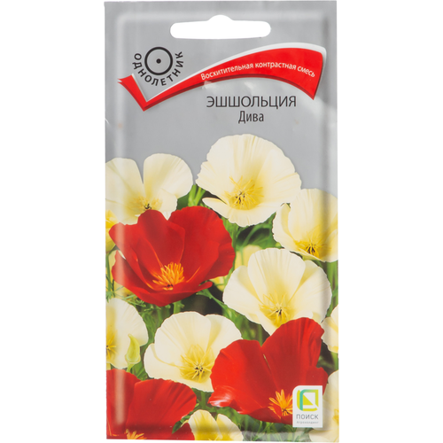 ������ ������ ������ ����� ��������� ���� (��) 0,2� ����