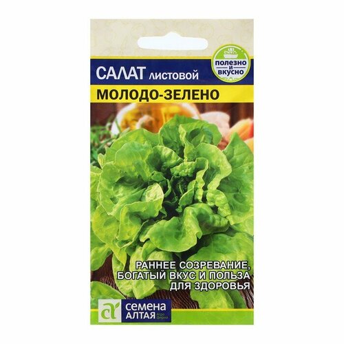 ������ ������ ������ ����� 