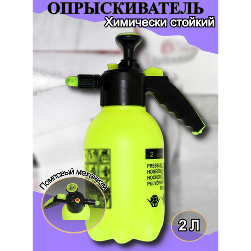 ������ ������ �������������(�����������) 