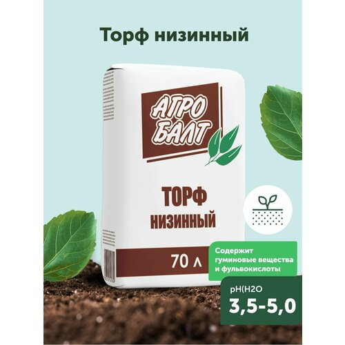 ������ ������ ���� ��� �������� 