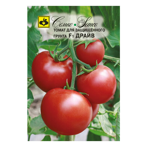 ������ ������ ������ ����� ����� F1 5�� ����� ������ (�����) ����