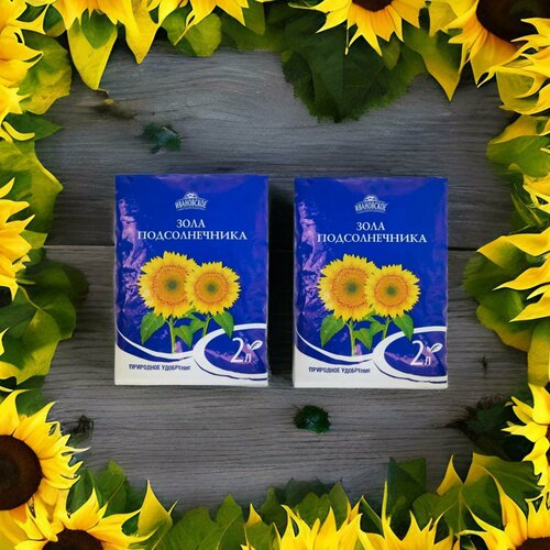 ������ ������ ��������� ���� ������������� 2� / 2��. ���������� ��������� ���������� ����